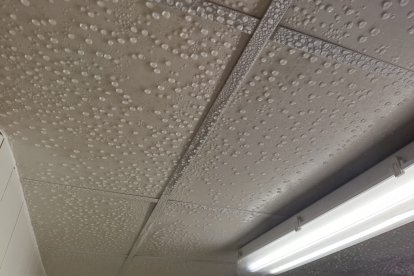 Condensación en loos techos interiores de los vestuarios.