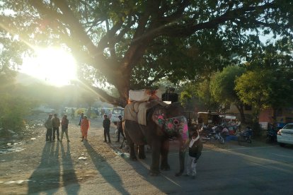Una cultura milenaria se abre paso en el mundo global.