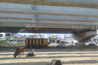 Una cultura milenaria se abre paso en el mundo global.