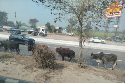 Una cultura milenaria se abre paso en el mundo global.