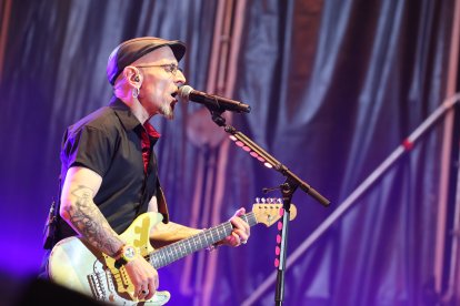 Las imágenes del concierto de Fito & Fitipaldis.