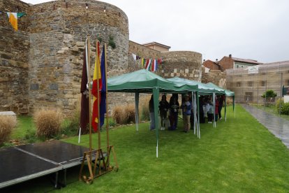 León celebra el Día de Europa.