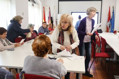 Día de la Cruz Roja en León.