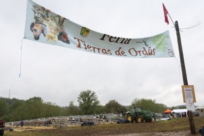 Feria Agroganadera de Santa María de Ordás.