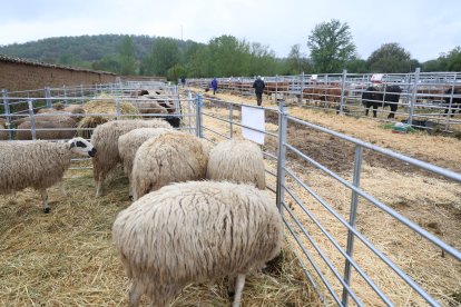 Feria Agroganadera de Santa María de Ordás.