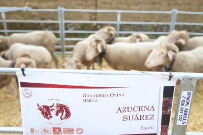 Feria Agroganadera de Santa María de Ordás.