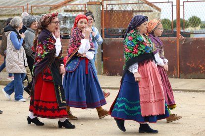 Romería de San Gregorio.