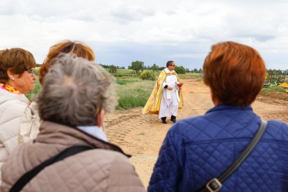 Romería de San Gregorio.