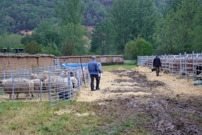 Feria Agroganadera de Santa María de Ordás.
