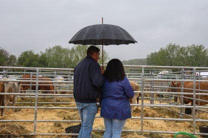 Feria Agroganadera de Santa María de Ordás.