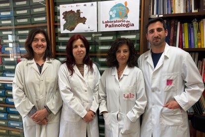 Rosa Valencia, Rosa García, Ana Vega y Alberto Rodríguez.