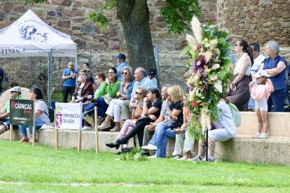 Campeonato de mastín en Astorga.