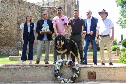 Campeonato de mastín en Astorga.