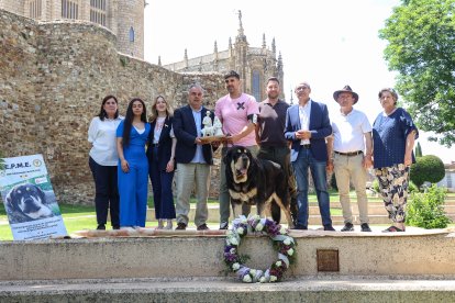 Campeonato de mastín en Astorga.