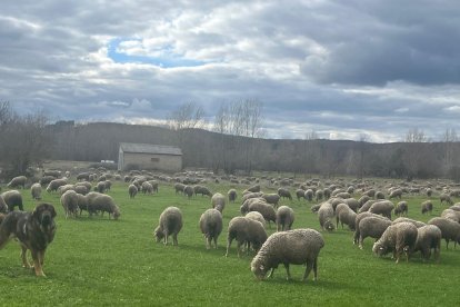 Los alrededores del alojamiento invitan al sosiego