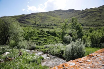 Cualuqier espacio es bueno para posar la vista en la Babia de Suso.