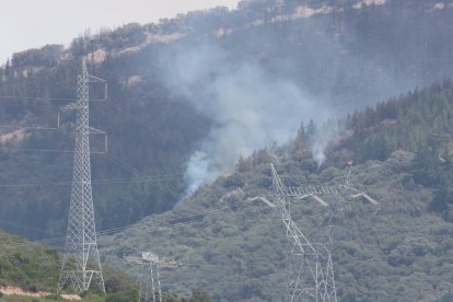 Medios áreos trabajan en la extinción del incendio de Congosto