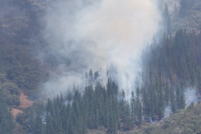 Medios áreos trabajan en la extinción del incendio de Congosto