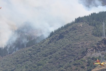 Medios áreos trabajan en la extinción del incendio de Congosto