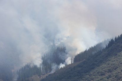 Medios áreos trabajan en la extinción del incendio de Congosto