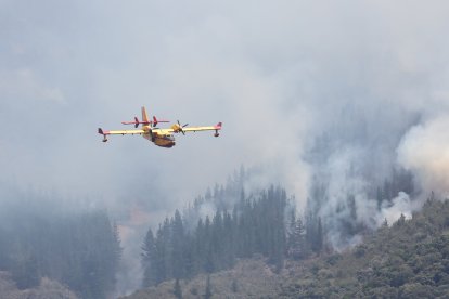 Medios áreos trabajan en la extinción del incendio de Congosto