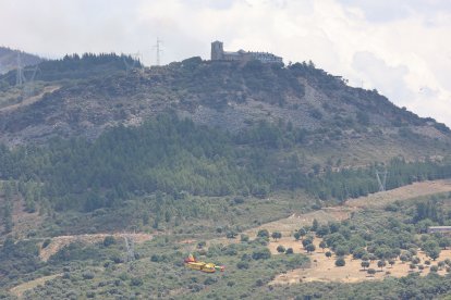 Medios áreos trabajan en la extinción del incendio de Congosto