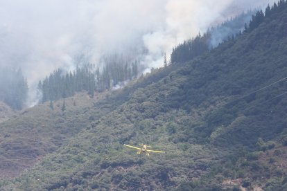 Medios áreos trabajan en la extinción del incendio de Congosto