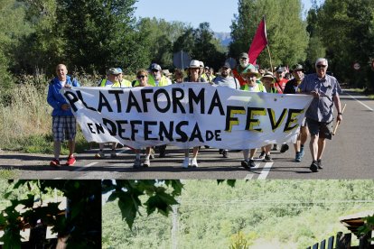 Marcha de Feve.