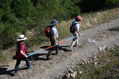 Trashumancia inclusiva en Salamón.