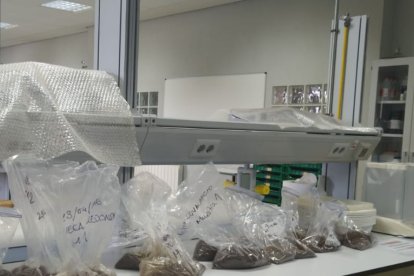 Las muestras del suelo tomadas por los vecinos en la experiencia de ciencia ciudadana.