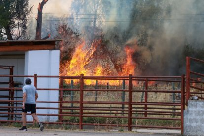 Imágenes de las llamas en Navatejera