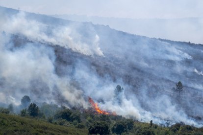 El incendio de La Mierla, en Guadalajara, ha estado «fuera de su capacidad de extinción», según los expertos. No en vano, pasó a la provincia de Soria.