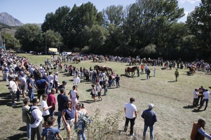 XXXVI edición del concurso de caballos Hispano-Bretón.