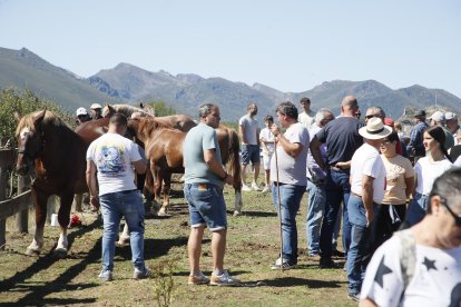 XXXVI edición del concurso de caballos Hispano-Bretón.