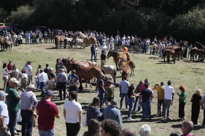 XXXVI edición del concurso de caballos Hispano-Bretón.