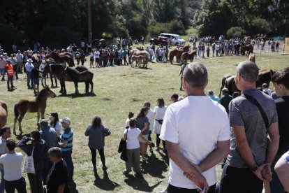XXXVI edición del concurso de caballos Hispano-Bretón.