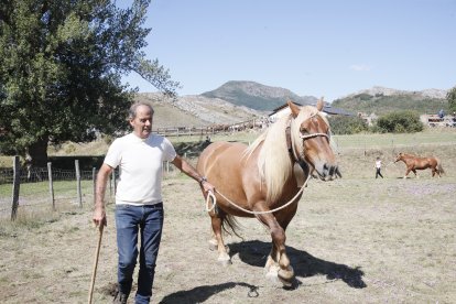 XXXVI edición del concurso de caballos Hispano-Bretón.