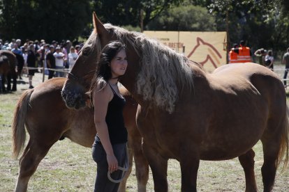 XXXVI edición del concurso de caballos Hispano-Bretón.