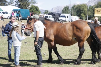 XXXVI edición del concurso de caballos Hispano-Bretón.