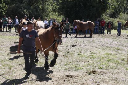 XXXVI edición del concurso de caballos Hispano-Bretón.
