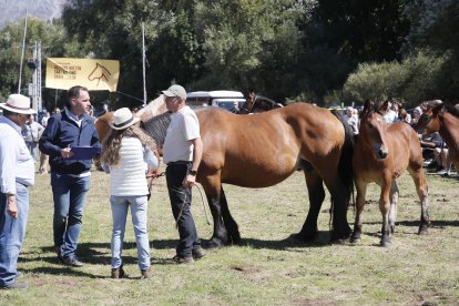 XXXVI edición del concurso de caballos Hispano-Bretón.