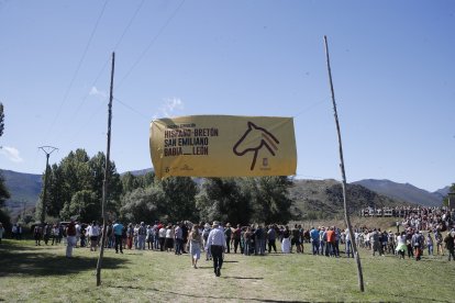 XXXVI edición del concurso de caballos Hispano-Bretón.