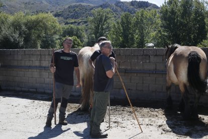 XXXVI edición del concurso de caballos Hispano-Bretón.