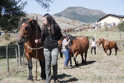 XXXVI edición del concurso de caballos Hispano-Bretón.