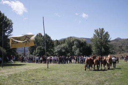 XXXVI edición del concurso de caballos Hispano-Bretón.