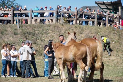 XXXVI edición del concurso de caballos Hispano-Bretón.