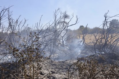 Incendio en Santovenia de la Valdoncina
