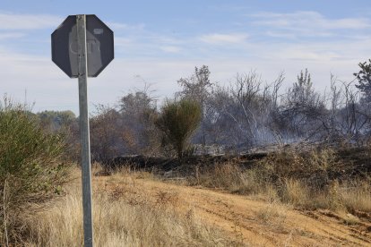 Incendio en Santovenia de la Valdoncina