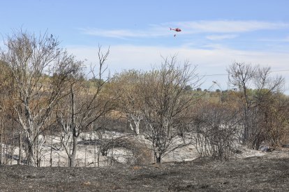 Incendio en Santovenia de la Valdoncina
