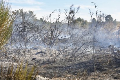 Incendio en Santovenia de la Valdoncina